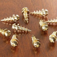 Bear Claw Picture Hanging Screws | Gold Plasterboard Hanger for Frames & Mirrors