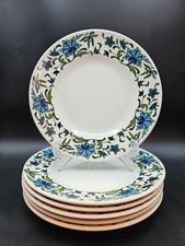 6 x Midwinter Spanish Garden