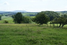 Photo A2 Field boundary on Harrows Hill Coniston Cold In the distance is c2011
