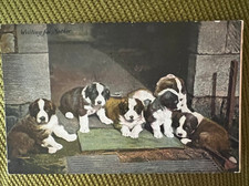 Antique dog postcard Boston