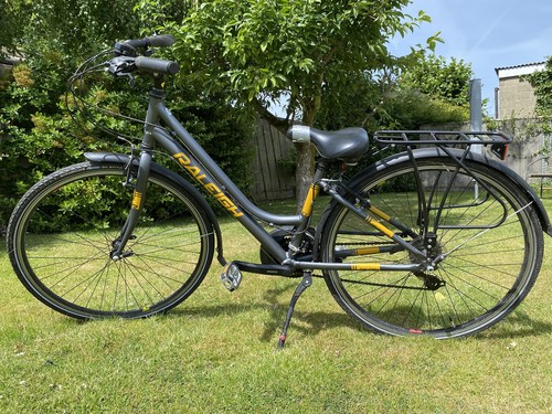 Raleigh loxley adult ladies - ,