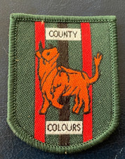 Oxfordshire Army Cadet Force "County Colours"  Arm Badge £4.99 Start
