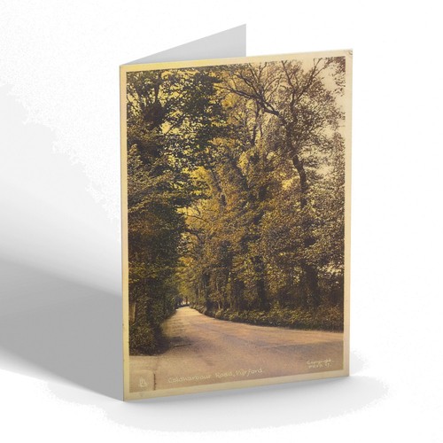 Notelet vintage surrey - notelet,