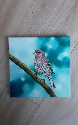 Painting original oil siskin - original,