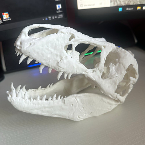 Printed rex skull - printed, t-rex