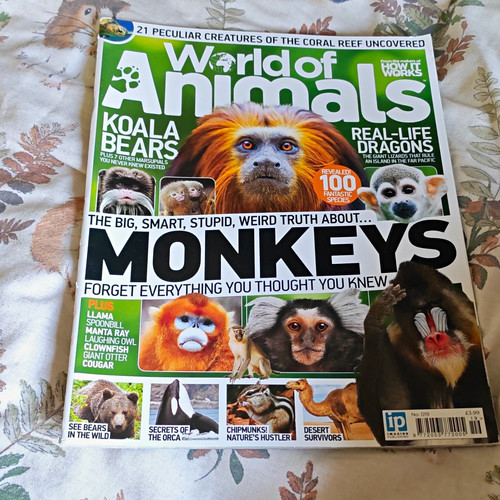 World animals 019 - world, no.