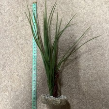 32cm Aquarium Artificial Plants grass- Green and red fish tank