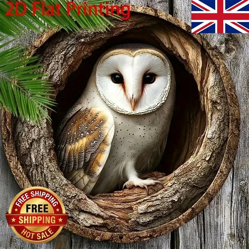 Stunning owl garden - owl,