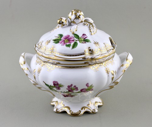 Spode china stafford flowers - spode,