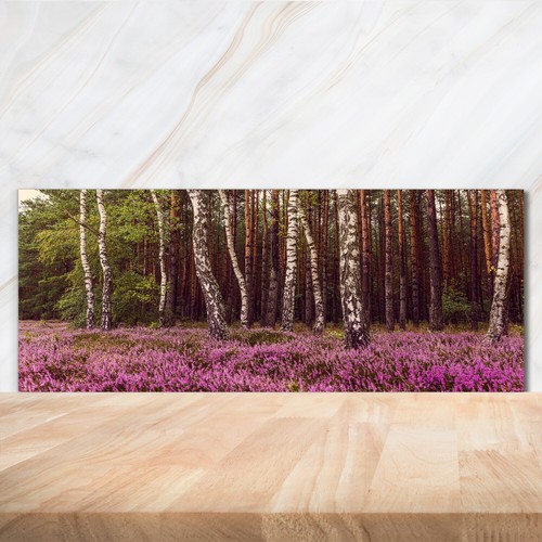 Kitchen glass splashback - kitchen,