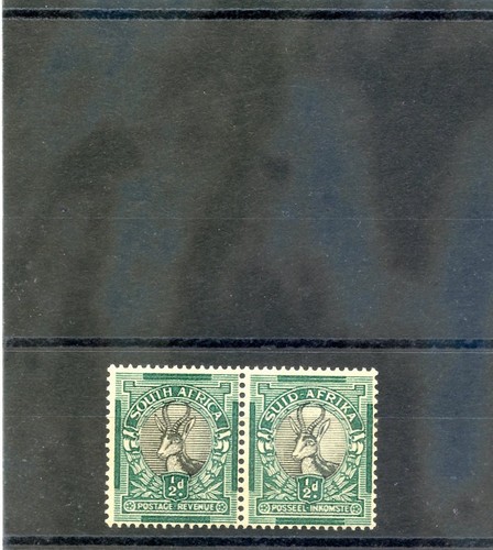 South africa pair - africa, sc