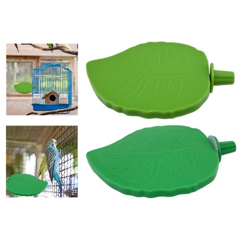 Bird perch parrot - bird, perch,