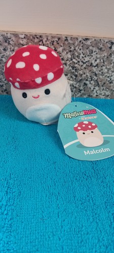 Squishmallow malcolm mallow - squishmallow,
