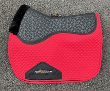 Shires Performance shock