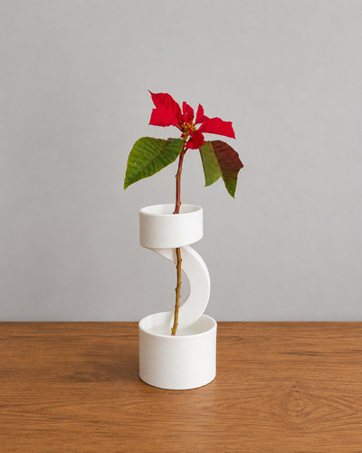 White ribbon flower - white,