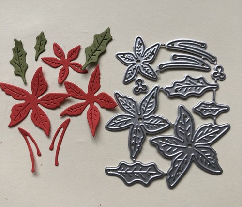 Christmas flower poinsettia - flower,,