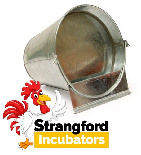6ltr bucket drinker poultry - 6ltr,