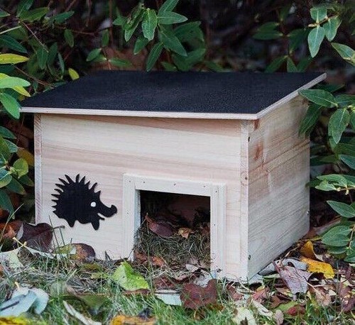 Hedgehog house hibernation - house,