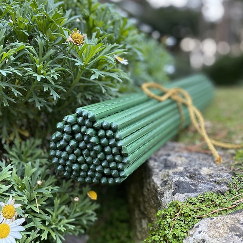 Plant support stakes sticks - plant,