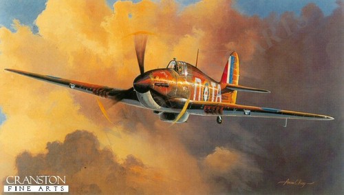 Adrian rigby aviation art - rigby,