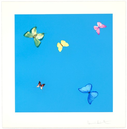 Damien hirst art print 40x40 - art,