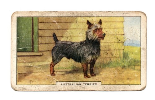 Gallaher cigarette card - gallaher,