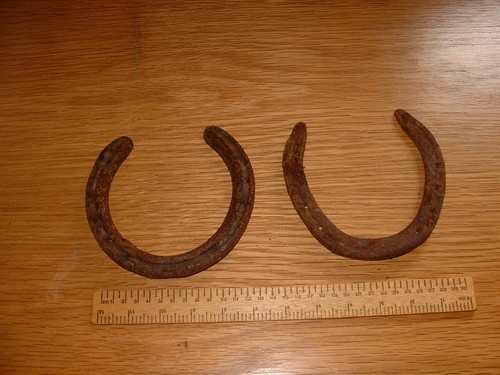 Horse shoe old rusty - horse,