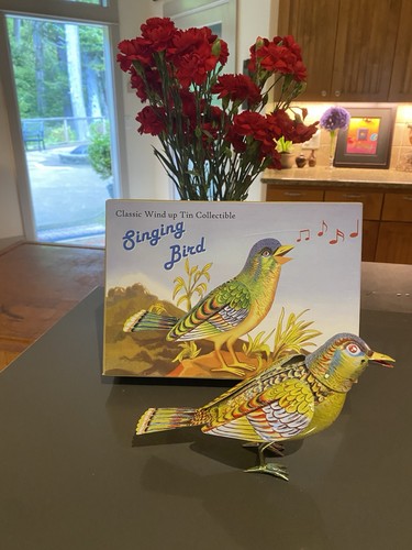 Tin wind singing bird - singing, toy