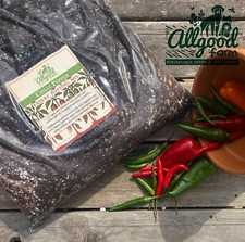 Chilli pepper plant expert - pepper,