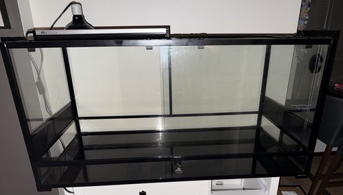 Reptile terrarium - reptile,