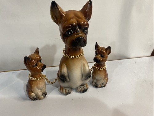 Boxer dog mom - mom, pups