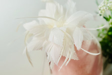 Elegant flower feather - elegant,