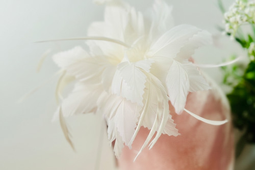 Elegant flower feather - flower,