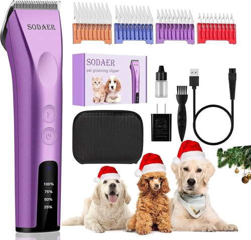 Professional animal dog and - professional,