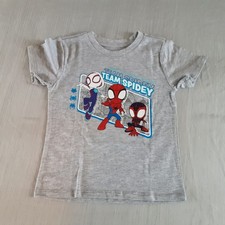 Boys 5T Gray Team Spidey Short