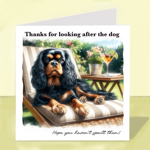 Cavalier king charles spaniel - king,