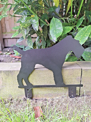 Fox terrier dog garden - fox,