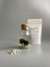 Mini marimo moss - mini, kit