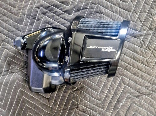 Screaming eagle Heavy Breather