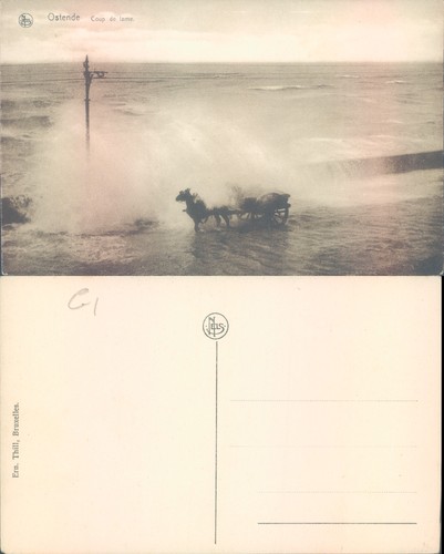 Ostende stormy sea with - , horse