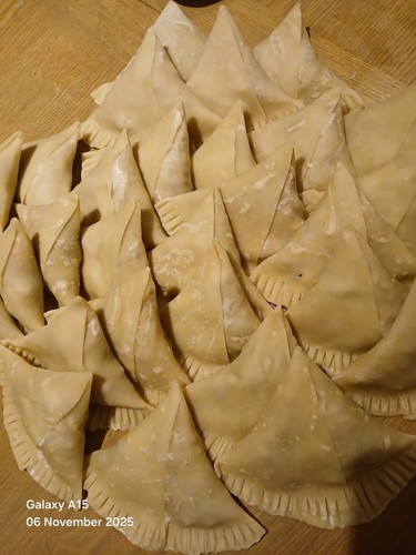 Chicken samosas fresh - 50,