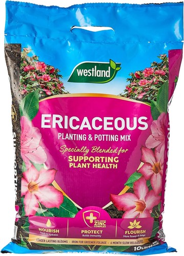 Ericaceous compost 10l mix - ericaceous,