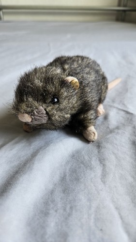 Ship rat soft plush cuddly - soft,
