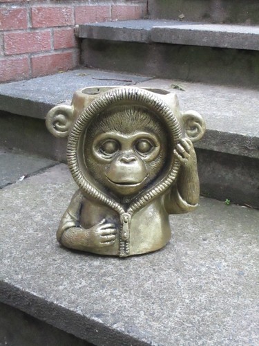 Cute urban monkey flower - urban, pot