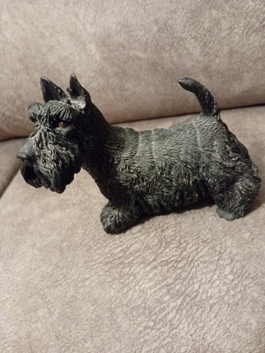 West highland terrier - west,