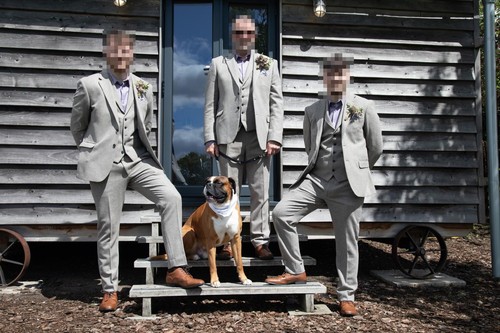 Men moss three piece - 3, men's