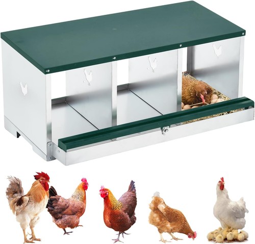 Metal chicken hens nesting - hens,