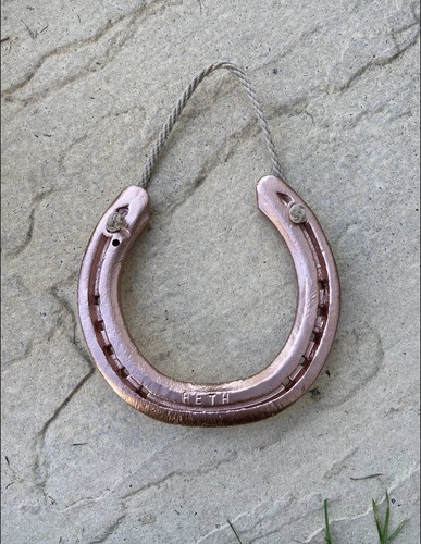 Genuine used horseshoe rose - genuine,