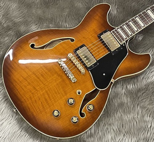 Ibanez as93 vls12 - ibanez, as93-vls12-05
