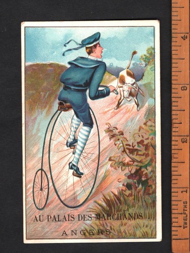 Cyclist meets bull rare - cyclist,